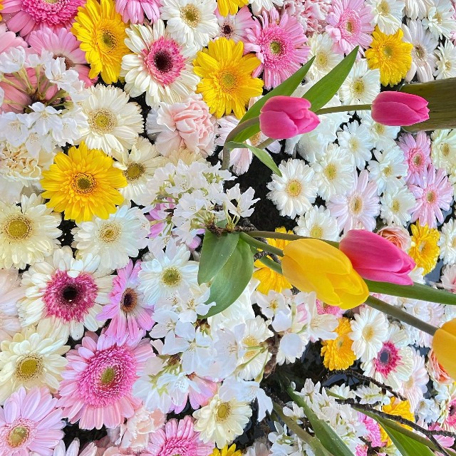 ピンクのチューリップが春らしい花手水（画像提供：荘内神社さん）