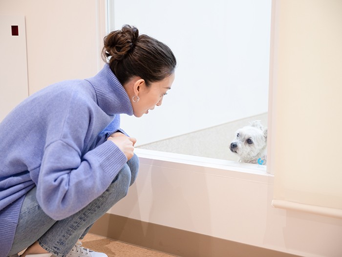 犬室はガラス張りで、中にいる犬の様子を見ることができる