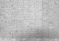 なんと10000冊の本を描き込んでいくのです…（指宿さん提供）