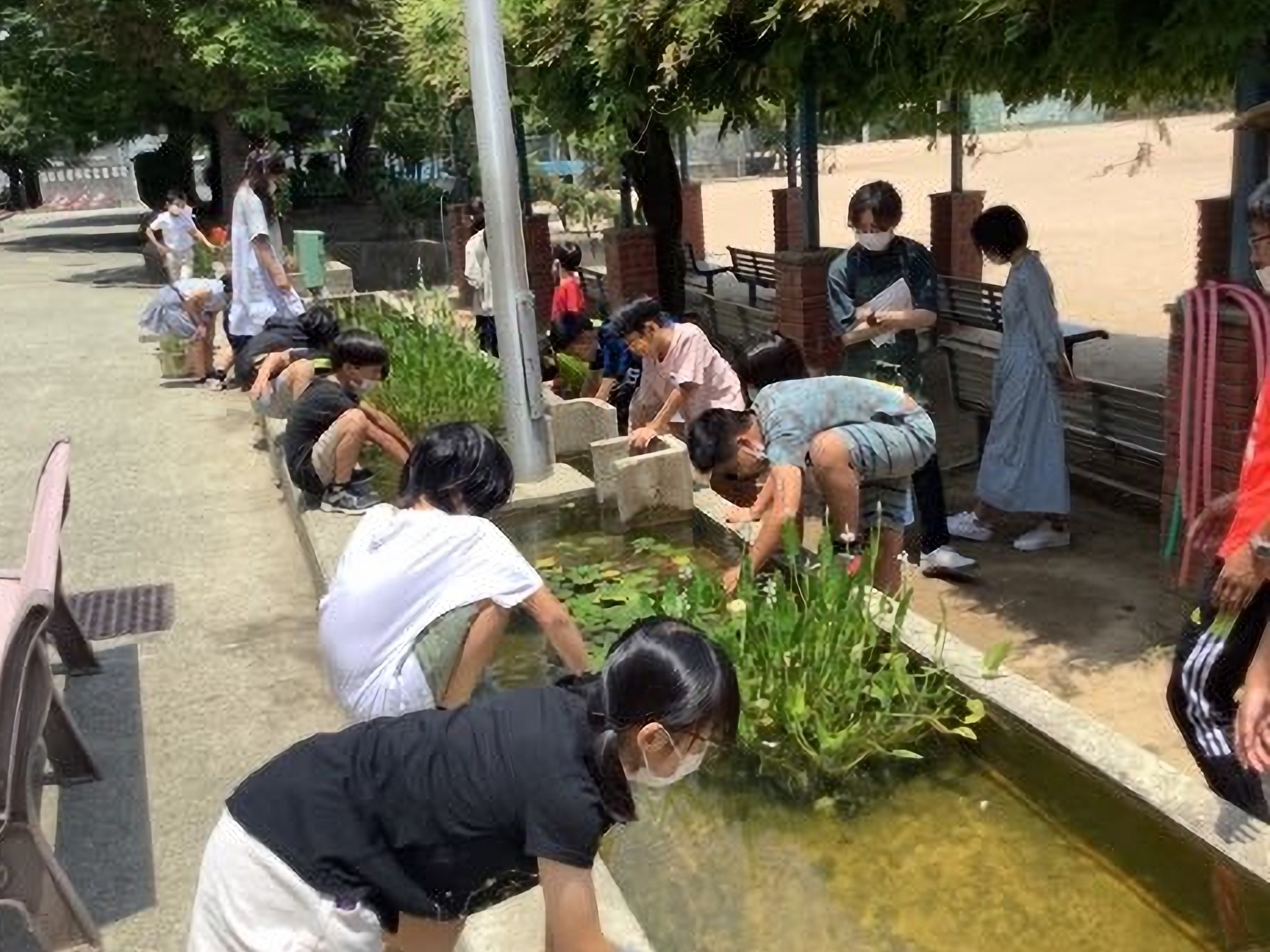 打出浜小学校の「打小の水辺」