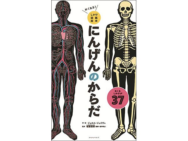 掛軸　紙本　骸骨図　人体構造　教材 骸骨 しゃれこうべ 紙本軸装 掛軸 Z296｜骨董店 のびる 古美術 骨董