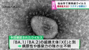 仙台で新系統ウイルス確認　感染メカニズム・ワクチン効果・・・専門家に聞く