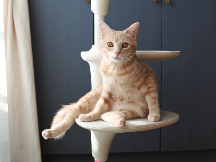 表情がキリッ（mimoeさん提供）