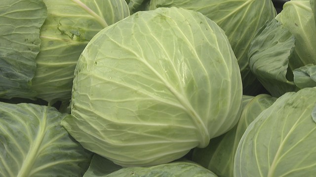 キャベツやダイコンなど野菜が高騰　多くのキャベツを使う飲食店からは苦しい声が　岡山
