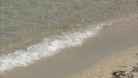 海の日　瀬戸内エリアでも体験航海や海岸清掃など催し　香川