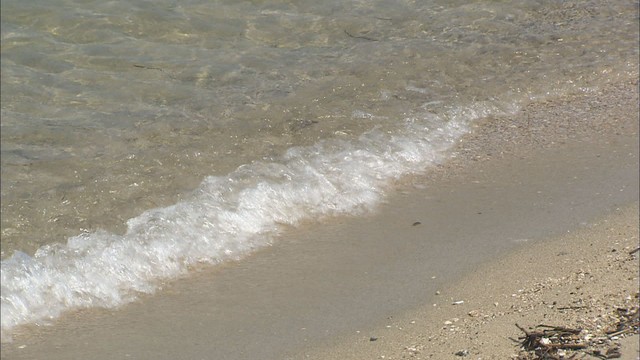 海の日　瀬戸内エリアでも体験航海や海岸清掃など催し　香川