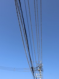 このトゲトゲも「防鳥ピン」という鳥害対策