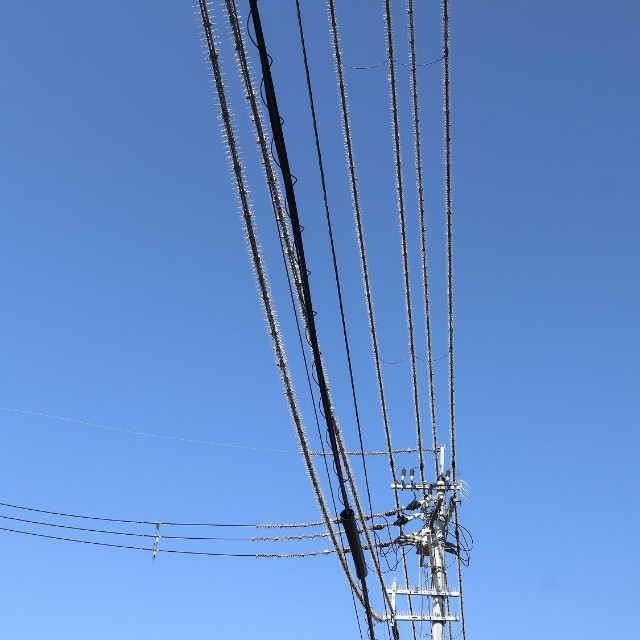 このトゲトゲも「防鳥ピン」という鳥害対策