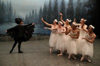 グランディーバ バレエ団