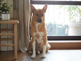 ヒット書籍の編集者・小林孝延さんと「福」の、しあわせな日常