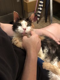 つむぎちゃんはお父さんに抱っこされるのが好きだった