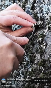 宮内庁公式YouTubeチャンネルから（動画のスクリーンショット）