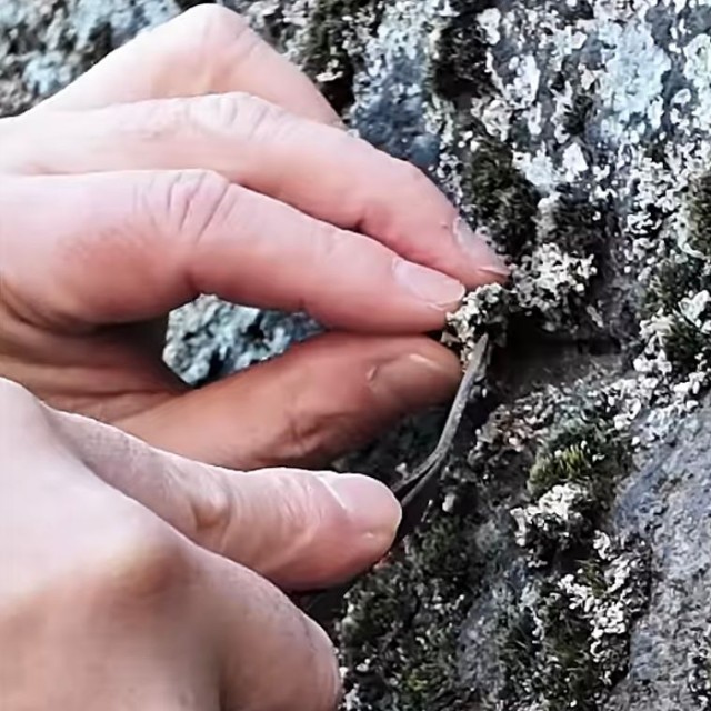 宮内庁公式YouTubeチャンネルから（動画のスクリーンショット）