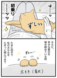 【漫画】『ネコと暮らした9日間』40（イゴカオリさん提供）