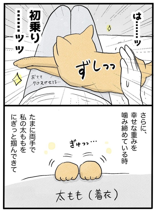 【漫画】『ネコと暮らした9日間』40（イゴカオリさん提供）