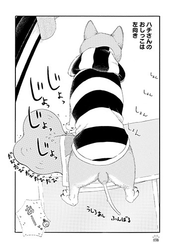 ふんばっておしっこ。はみでても気にしない！「じじ柴ハチさんは、今日も生きています。」より（竹書房提供）