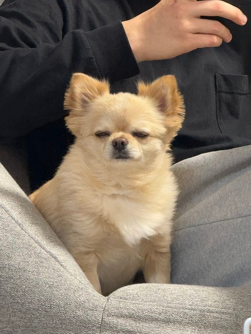 起きてる…よね…？（提供：てん（５）さん）