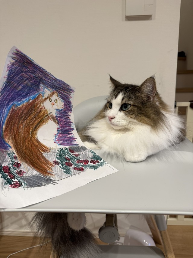 完成した作品を見せたところ、優しい目で眺めていた（「シィク / 猫アカ」さん提供）