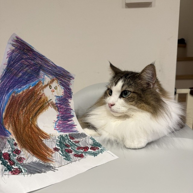 完成した作品を見せたところ、優しい目で眺めていた（「シィク / 猫アカ」さん提供）