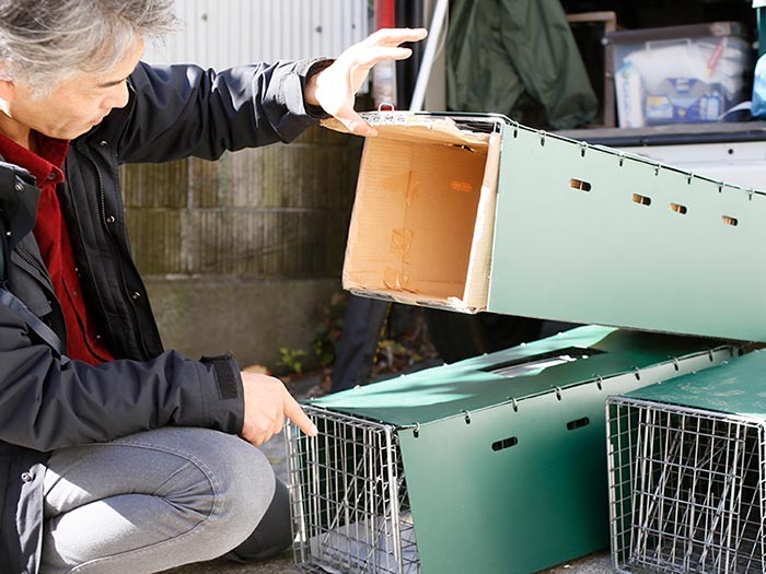 TNRを受けた経験を持つ猫は、捕獲器で捕まった記憶が残っているため、再度捕獲器で捕まえるのが難しくなることもあるとか