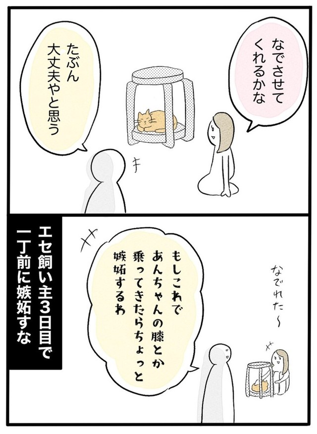 【漫画】『ネコと暮らした9日間』52（イゴカオリさん提供）