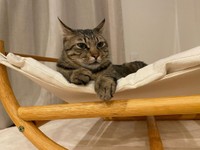 3歳になったにゃ〜