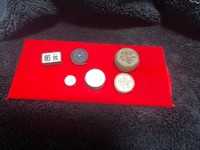 中国式将棋「シャンチー」の駒。丸型で見落としやすい形状／Dennyさん（@De2_trash_rush）提供