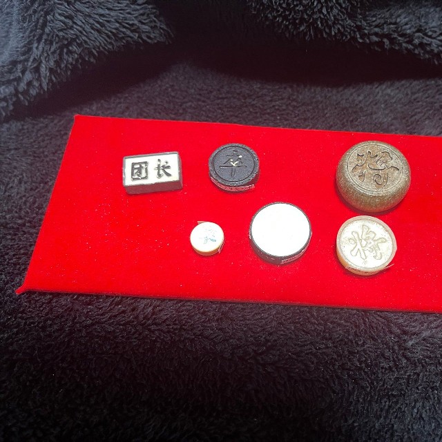 中国式将棋「シャンチー」の駒。丸型で見落としやすい形状／Dennyさん（@De2_trash_rush）提供