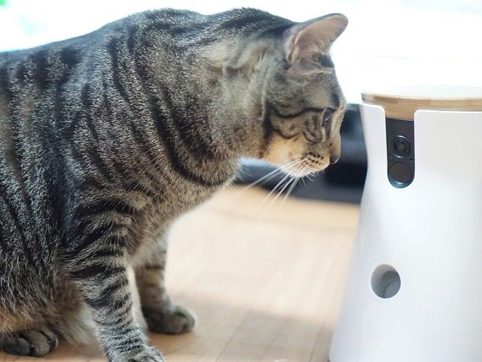 「レンズだ、近すぎるかな」