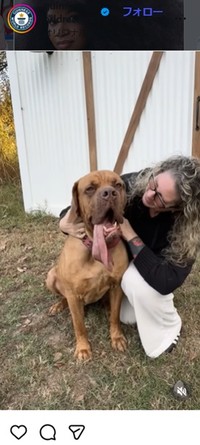 ギネス記録のインスタグラム＠guinnessworldrecordsより