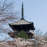 日本※画像はイメージ