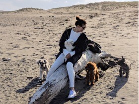 犬を飼いたいけど飼えない、その理由　「古っ」って思って正解！