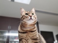 ごはんまあだ？＝渡邉さん提供