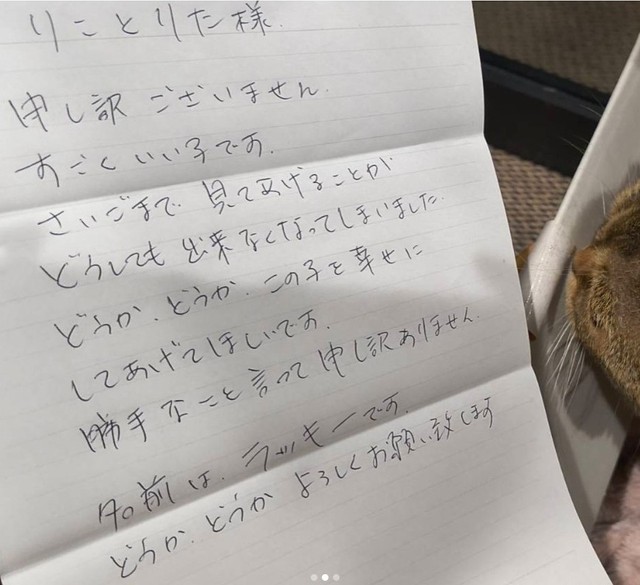 飼い主が書かれたと思われる手紙…「すごくいい子」なのになぜ？（保護猫団体「猫スマイル」提供、Instagramよりキャプチャ撮影）