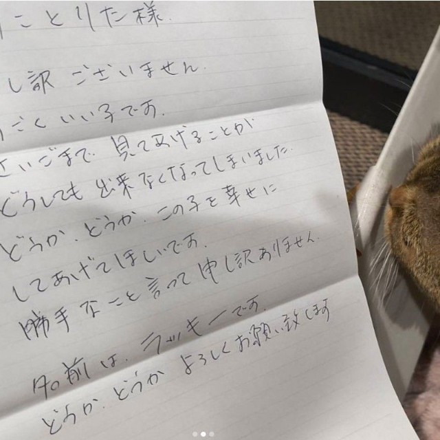 飼い主が書かれたと思われる手紙…「すごくいい子」なのになぜ？（保護猫団体「猫スマイル」提供、Instagramよりキャプチャ撮影）