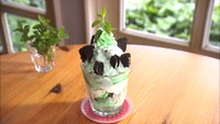 ミントのすっきり感とクッキーのサクサク感が爽快　倉敷のカフェで人気の「チョコミントスムージー」