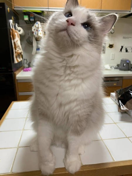 おもちゃに心を奪われて注目