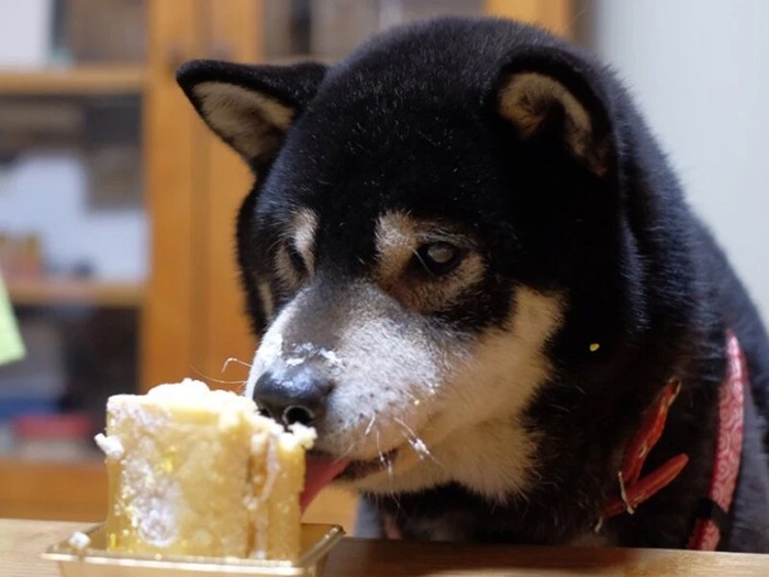 空太（クータ）

