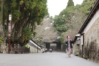 九州の小京都・飫肥城跡。風情ある石垣に浪漫を感じる