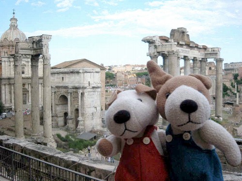 犬や猫のぬいぐるみ　人から預かり、世界を旅して撮影！