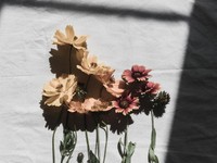 シャトルーへ行った夏。友人を見て感じた、信じて委ねるということ