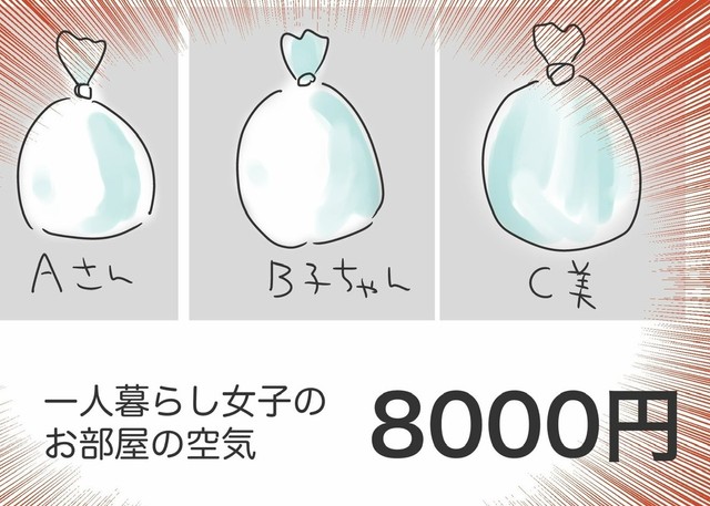 ハヤトの通販ページに売られていたのは空気（人間まおさん提供）