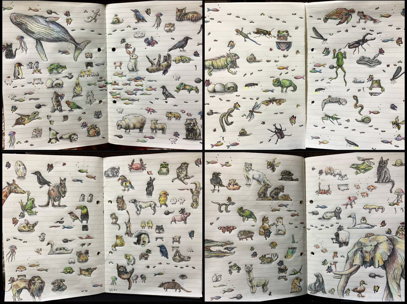 （晴夏さん提供）