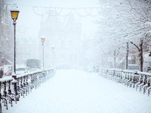 大雪の温泉街、吹雪の中なぜか大声で出身地を叫ぶ彼氏に惚れ直した旅