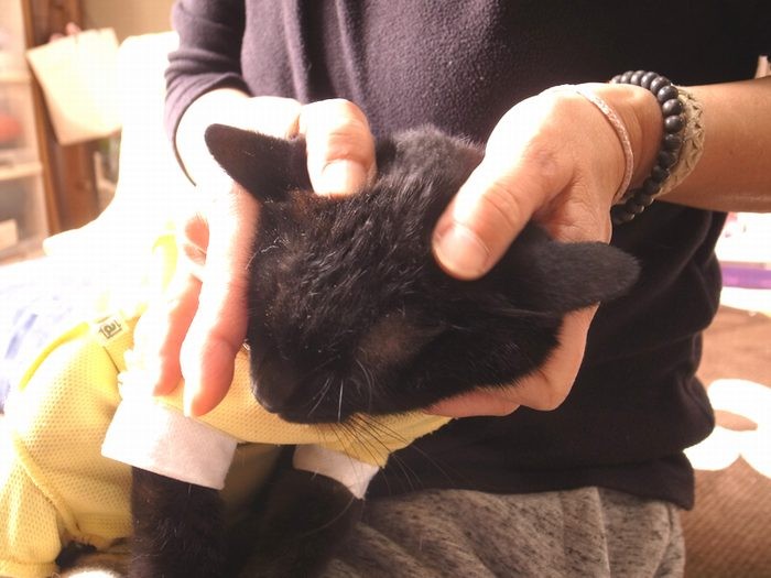 マッサージ中、気持ちいいな