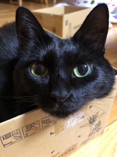 「最近はかむのやめたけど、ママと下のお兄ちゃんだけキックしちゃうの。ふふっ」（真弓さん提供）