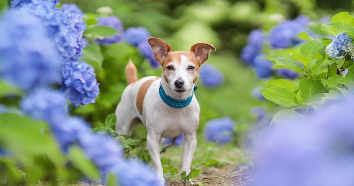 5f732a84bfba6ba0230e11ef4e49ba