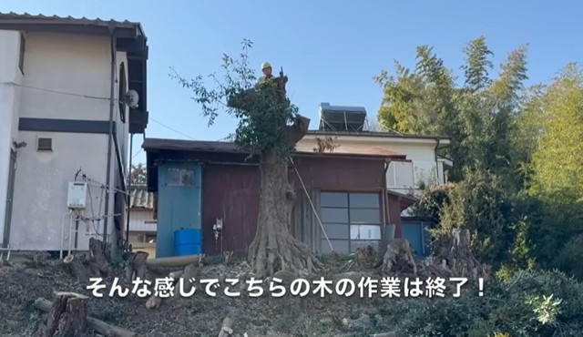根元は残すことにし、約2時間で作業終了／CAT HOUSE DIYさん（@cathousediy）提供
