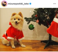 水野良樹インスタグラム＠mizunoyoshiki_tekeより