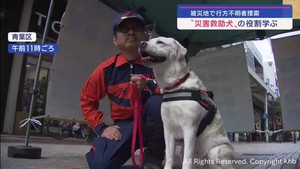 災害救助犬のことを知って！　仙台でデモンストレーション